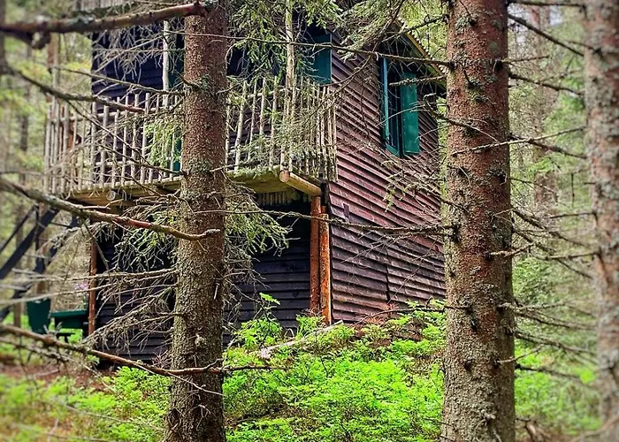 Luxe tent Vles Uprostred Lesa *